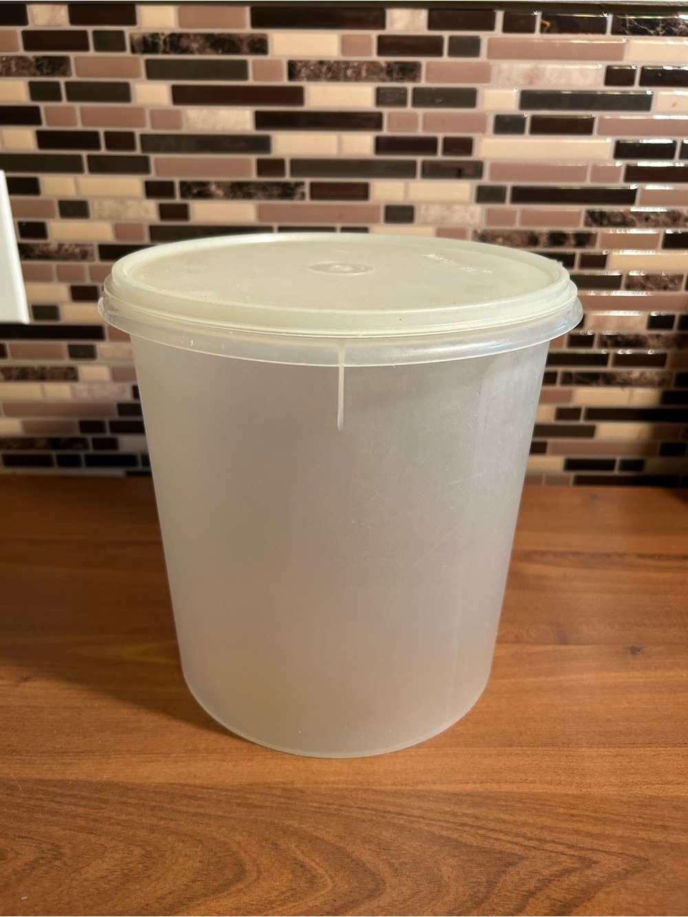 Vintage Tupperware Round Translucent Canister